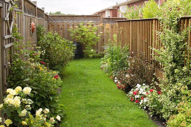 garden